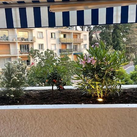 شقة Le Cezanne Au Centre De كاسيس المظهر الخارجي الصورة